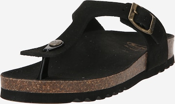 SCHOLL T-Bar Sandals 'NICOLE' in Black: front