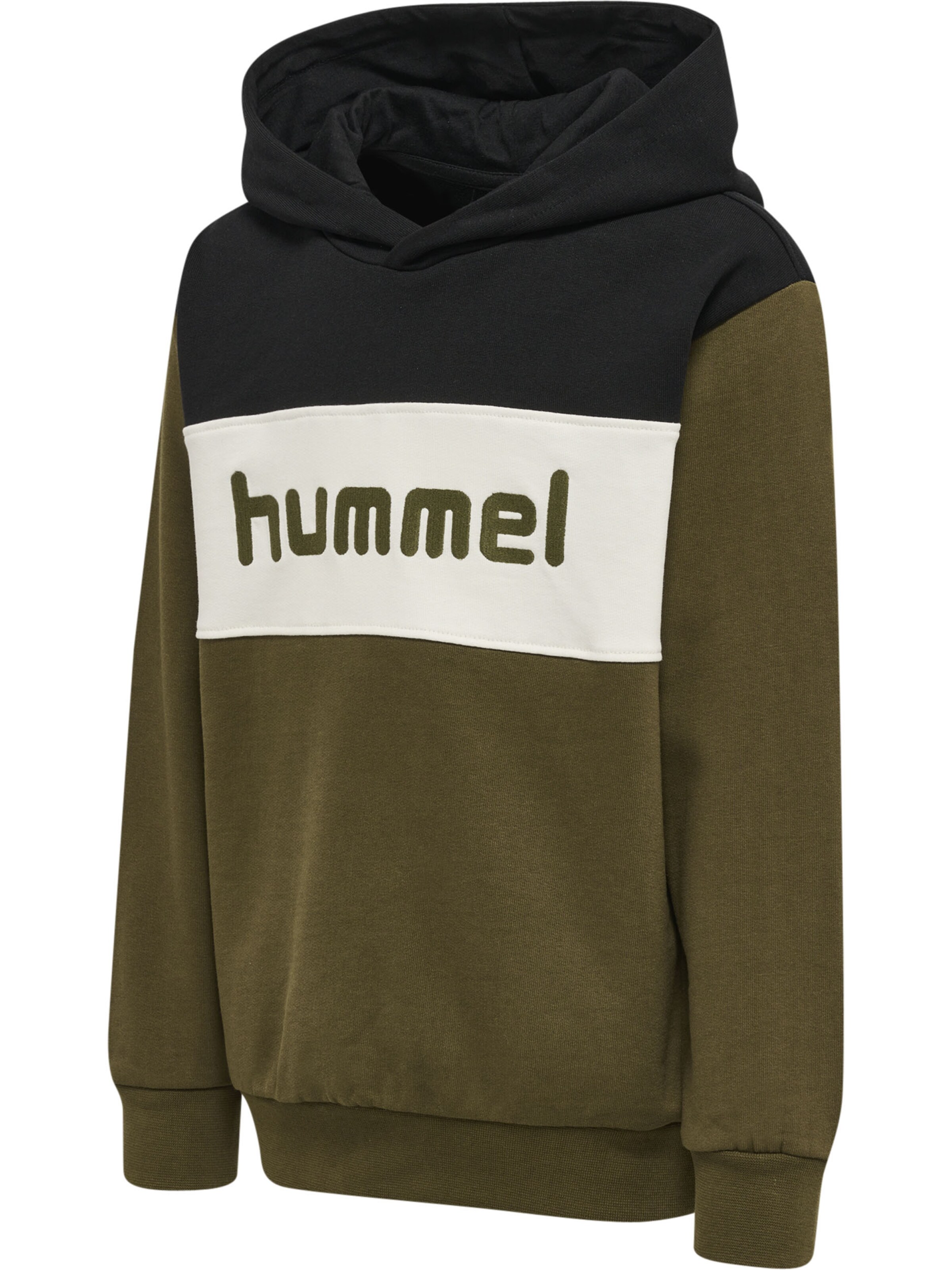 Hummel Sweatshirt in Green: front