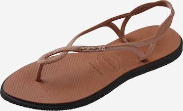 HAVAIANAS Žabky 'Luna Point' – hnědá: přední strana