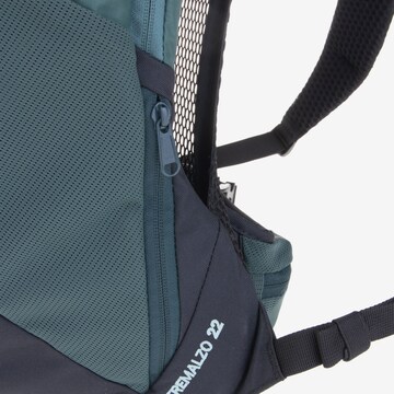 VAUDE Sports Backpack 'Tremalzo 22' in Green