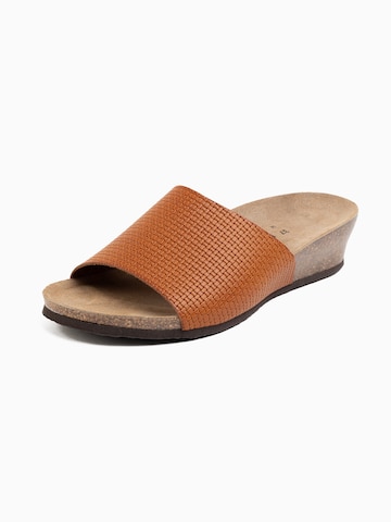 Bayton Mule 'Ventura' in Brown