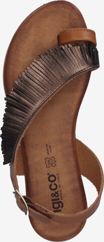 IGI&CO Teenslipper in Bruin