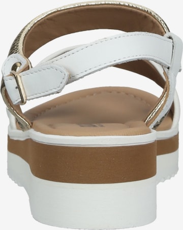 IGI&CO Sandalen met riem in Wit