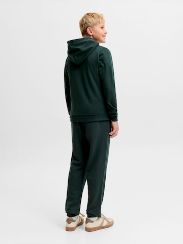 Jack & Jones Junior Tapered Bukser 'JJIGORDON' i grøn
