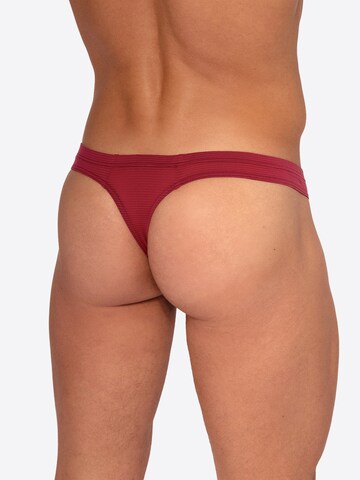 Slip ' RED2555 ' Olaf Benz en rose