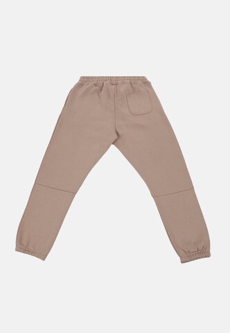 Dropsize Конический (Tapered) Штаны 'Embo V3' в Коричневый