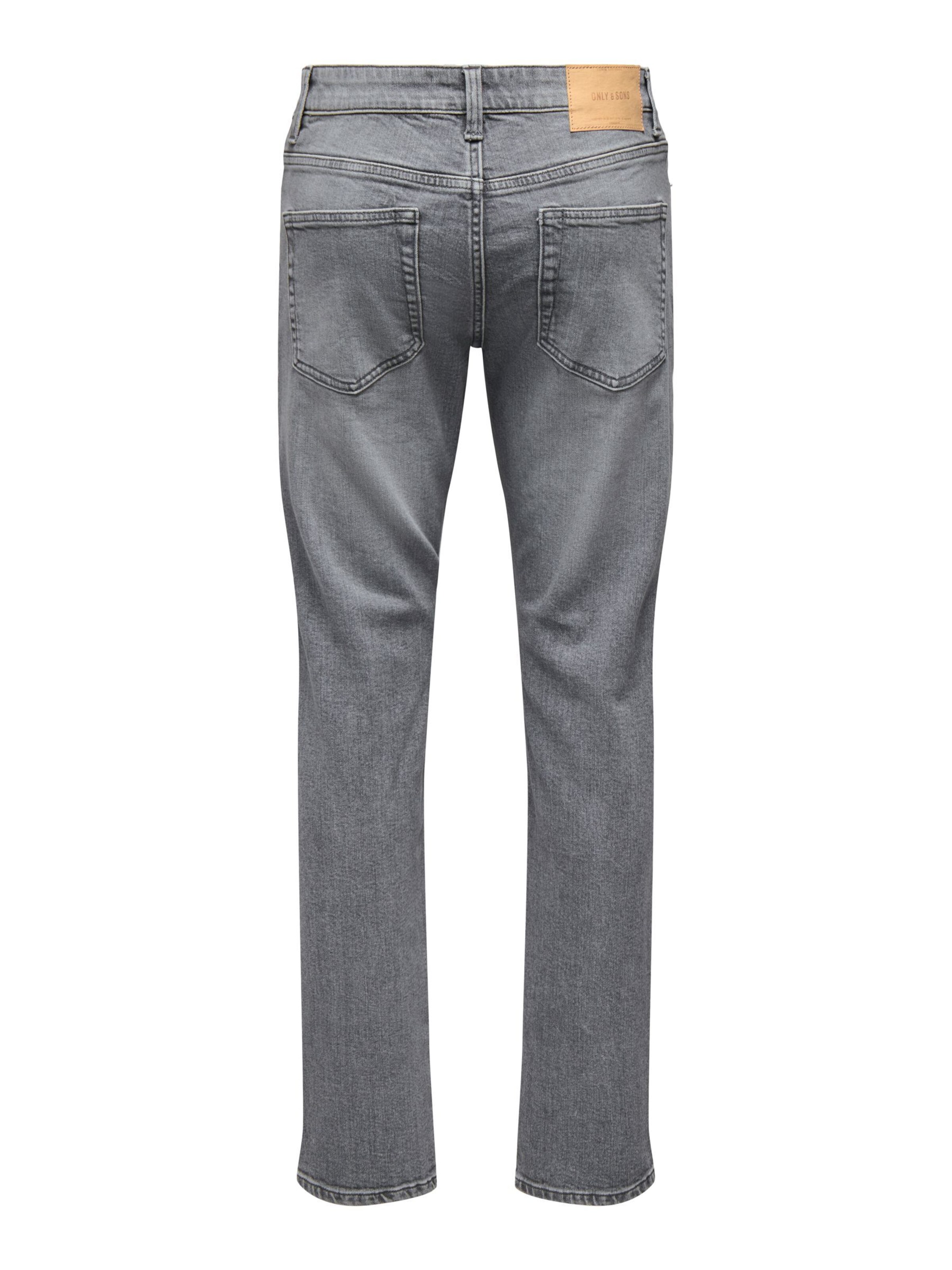 Only & Sons Regular Jeans 'ONSWOLF' in Grijs