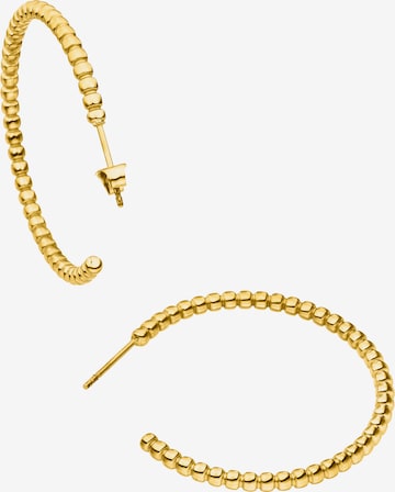 Steelwear Earrings 'barcelona' in Gold