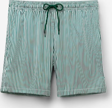 Tezenis Badeshorts in Grün: Vorderseite