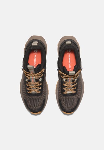 Sneaker bassa di TIMBERLAND in marrone
