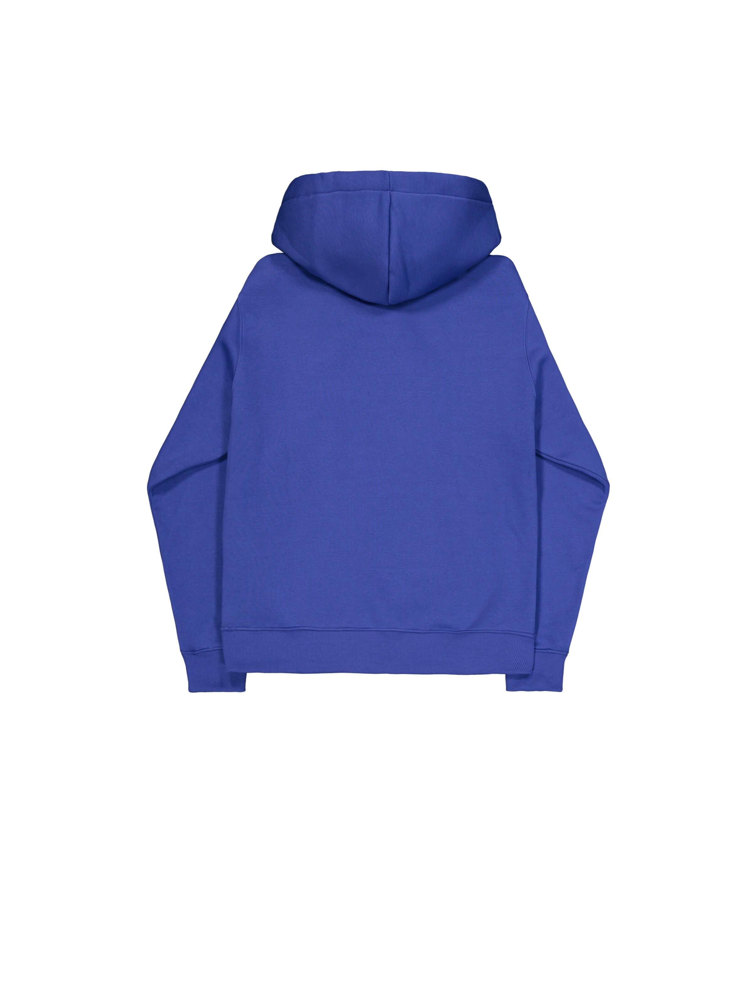 ALPHA INDUSTRIES Sweatshirt in Blau: Rückseite