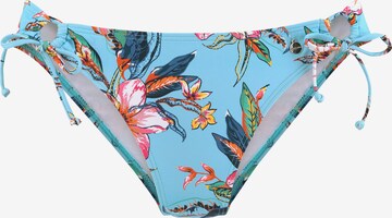 Pantaloncini per bikini di LASCANA in blu: frontale