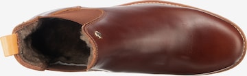 PANAMA JACK Chelsea Boots 'Giordana Igloo' in Brown