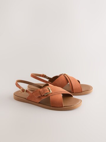 Next Sandals in Brown