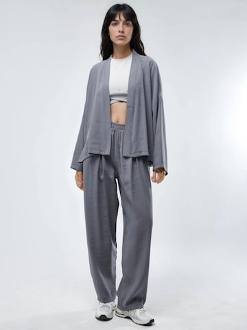 Barrel Pantalon Busem en gris