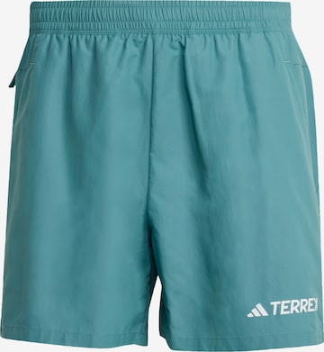 ADIDAS TERREX Športne hlače 'Multi' | zelena barva: sprednja stran