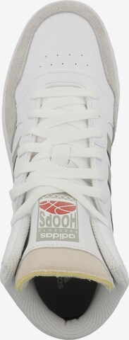 ADIDAS SPORTSWEAR High-Top Sneakers 'Hoops 3.0' in White