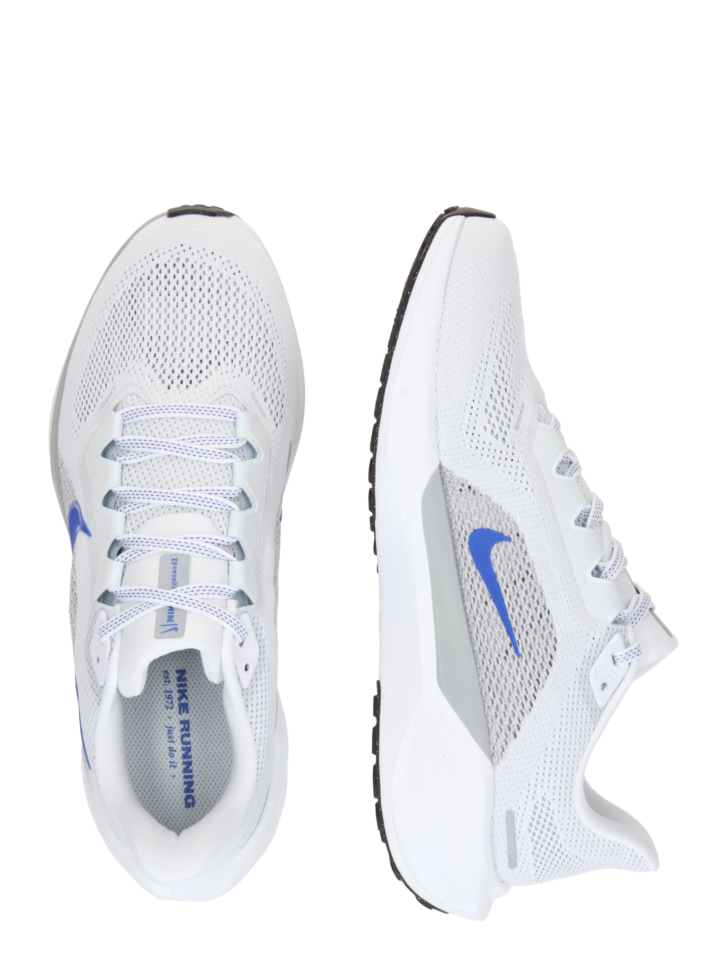 NIKE Обувь для бега 'Pegasus 41' в Белый