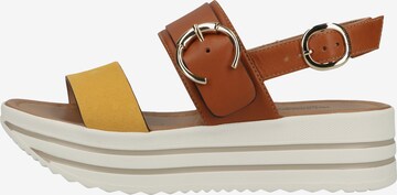 Nero Giardini Strap Sandals in Brown