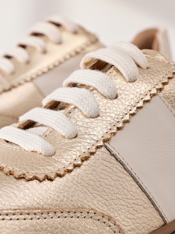 Baskets basses Next en or