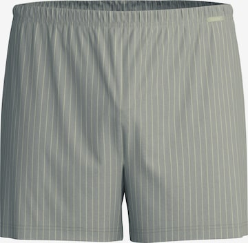 CALIDA Boxer shorts 'Prints' in Grey: front