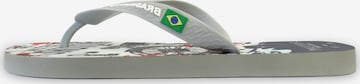 Brasileras - Zapatos para playa y agua 'Printed 20 Mix' en gris: frente