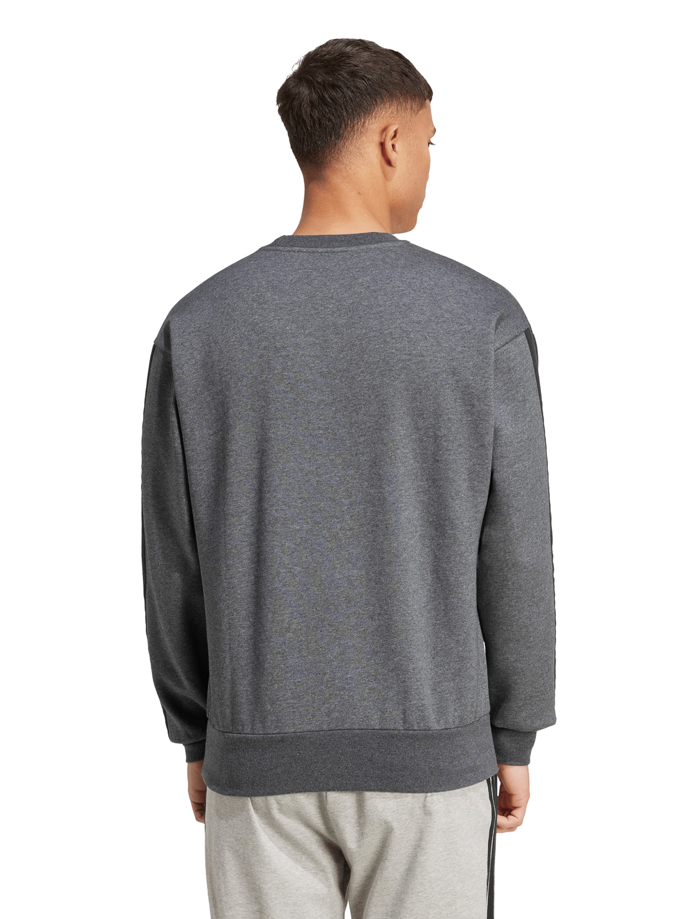 ADIDAS SPORTSWEAR Спортивный свитшот в Серый: сзади
