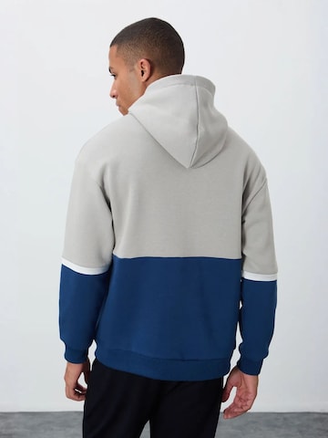 Felpa di Tommy Life in grigio