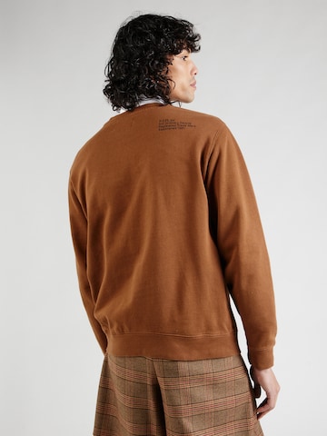 REPLAY Sweatshirt in Bruin