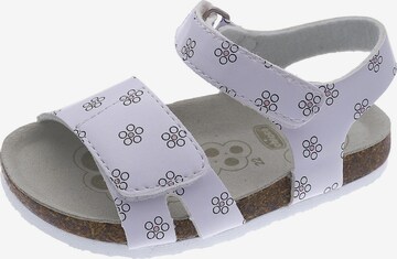 CHICCO Sandalen 'Fleurette' in Lila: voorkant