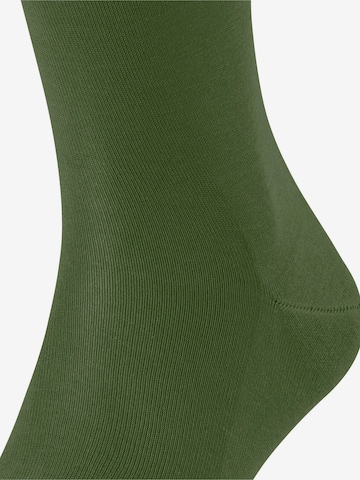 FALKE Knee High Socks 'Tiago' in Green: front