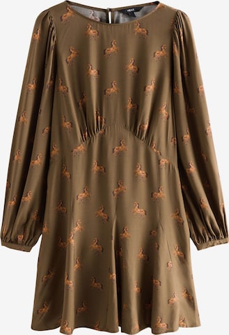 Next Kleid in Braun: Vorderseite