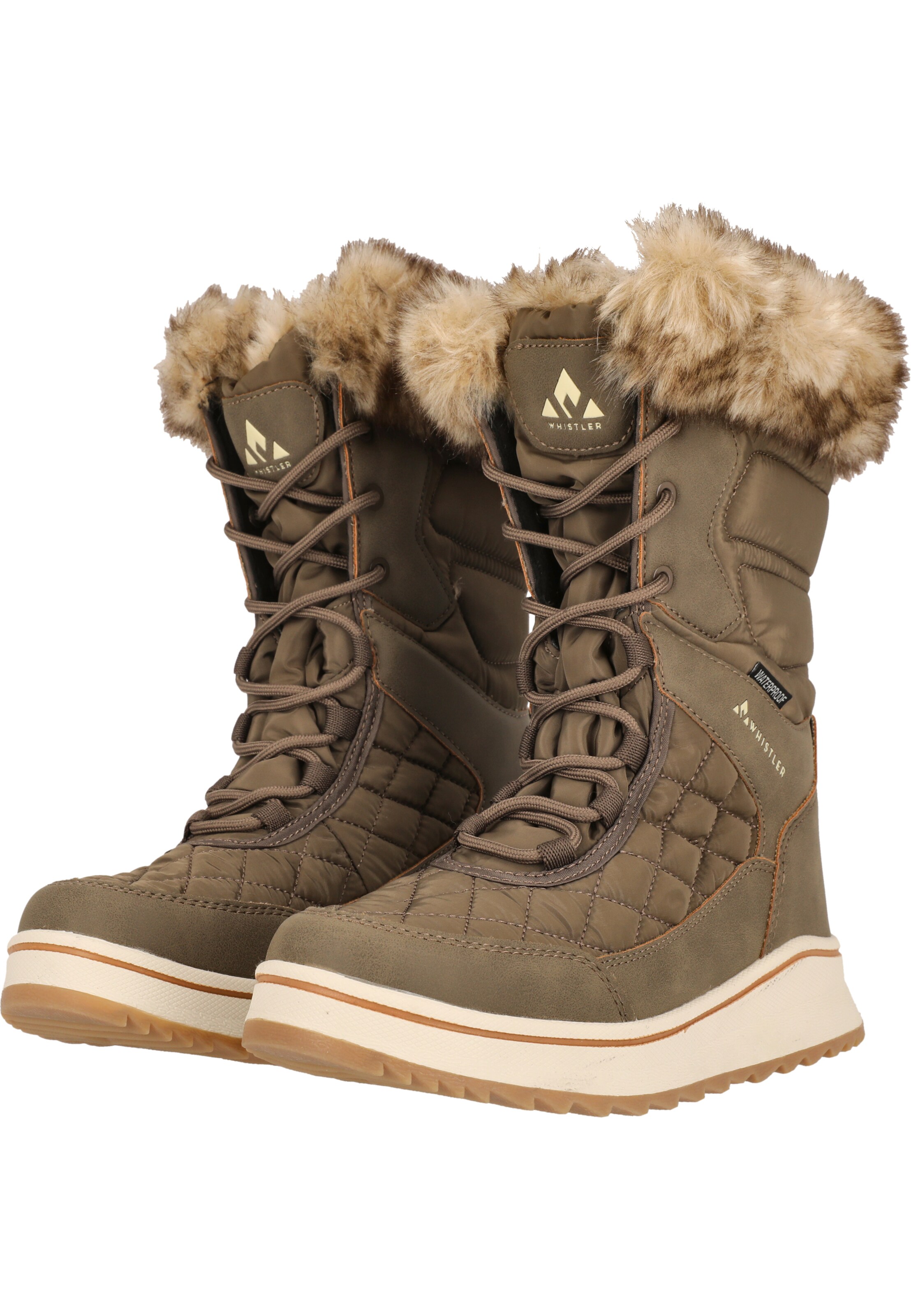 Whistler Boots 'Eewye' in Brown