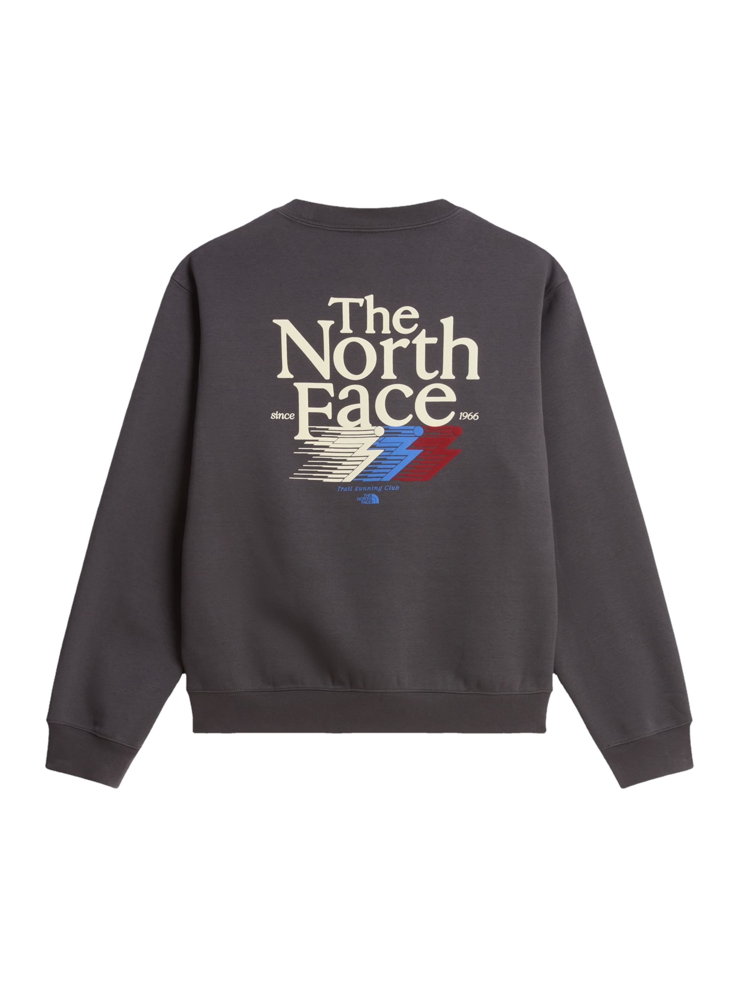 THE NORTH FACE - Sudadera en gris