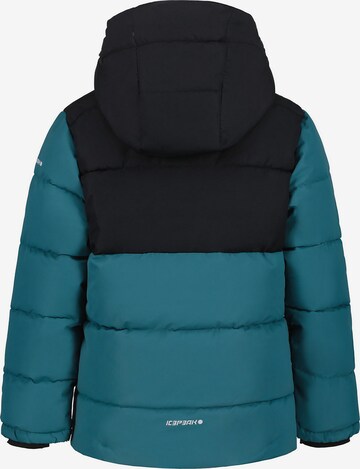 ICEPEAK Sports jacket 'LOUIN' in Green