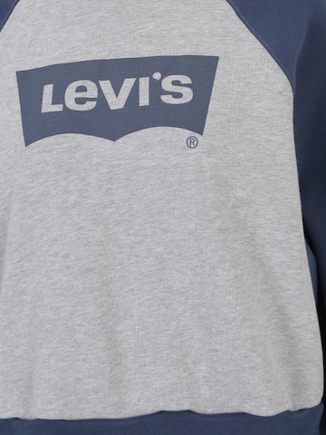 LEVI'S ® Sweatshirt 'Vintage Raglan Crewneck Sweatshirt' i grå