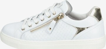 Nero Giardini Sneakers laag in Wit