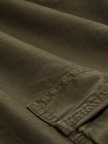 Loosefit Pantaloni di TOM TAILOR in verde