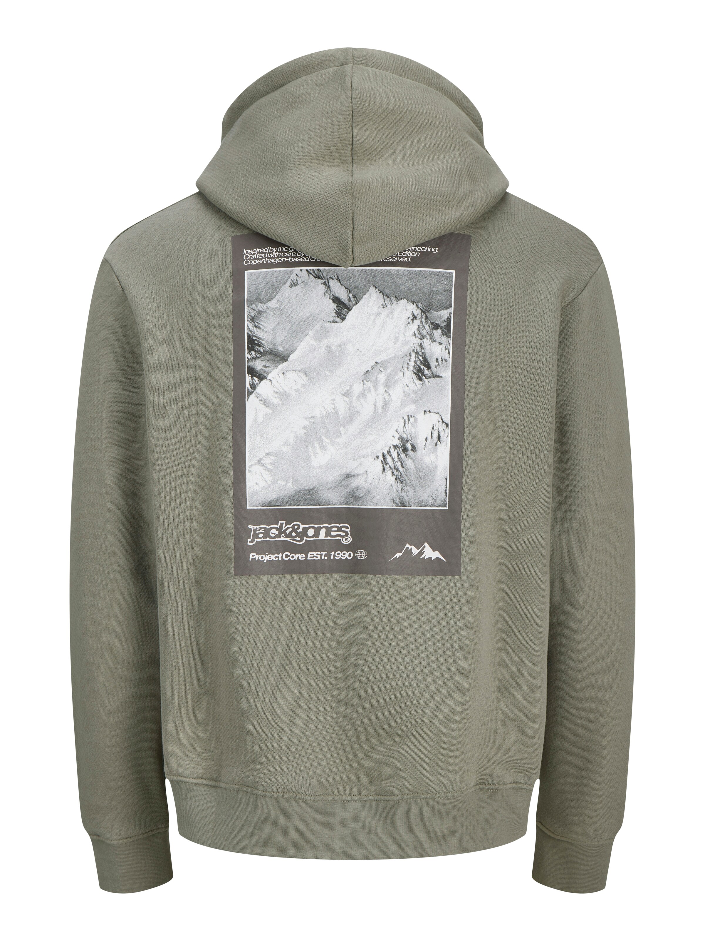 JACK & JONES Sweatshirt in Green