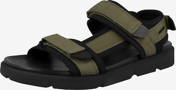 GEOX Hiking Sandals 'Xand 2S' in Green: front