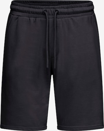 Pantalon 'BHKarlos' BLEND en bleu : devant