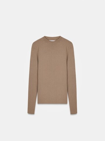 Dilvin Sweater 'Pullover' in Brown