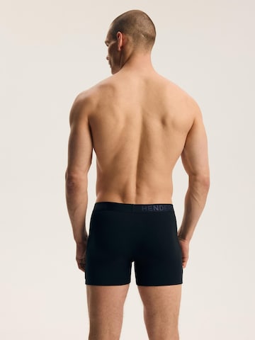 Boxer di Henderson in colori misti
