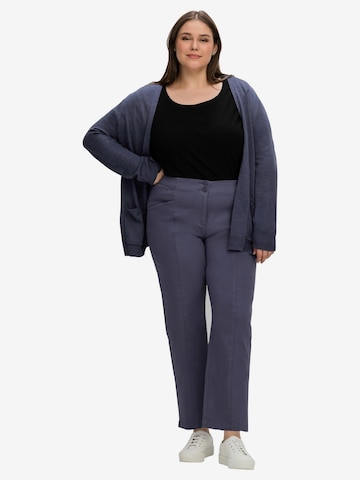 SHEEGO Regular Pleat-Front Pants in Blue