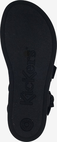 Kickers Strap Sandals in Black