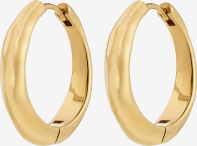 Pilgrim Korvakoru 'Harrison' värissä kulta, Tuotenäkymä