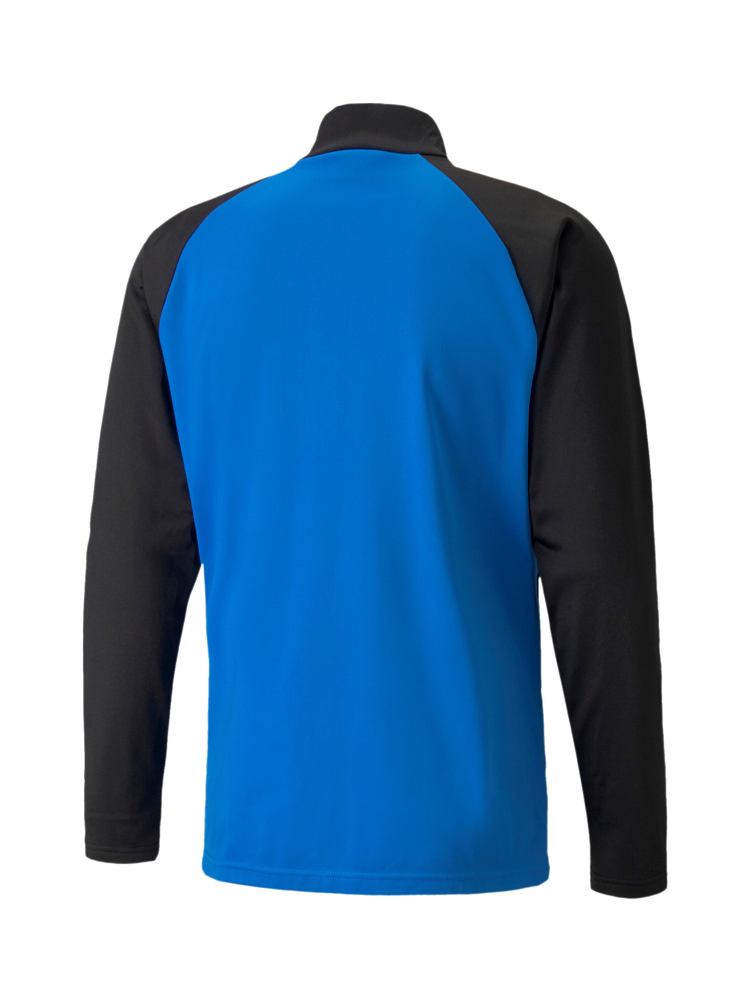 PUMA Athletic Jacket 'TeamLiga' in Blue