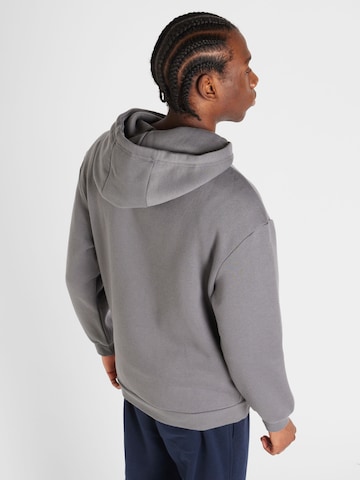 ABOUT YOU Sweatshirt 'Dian Hoodie' in Grey