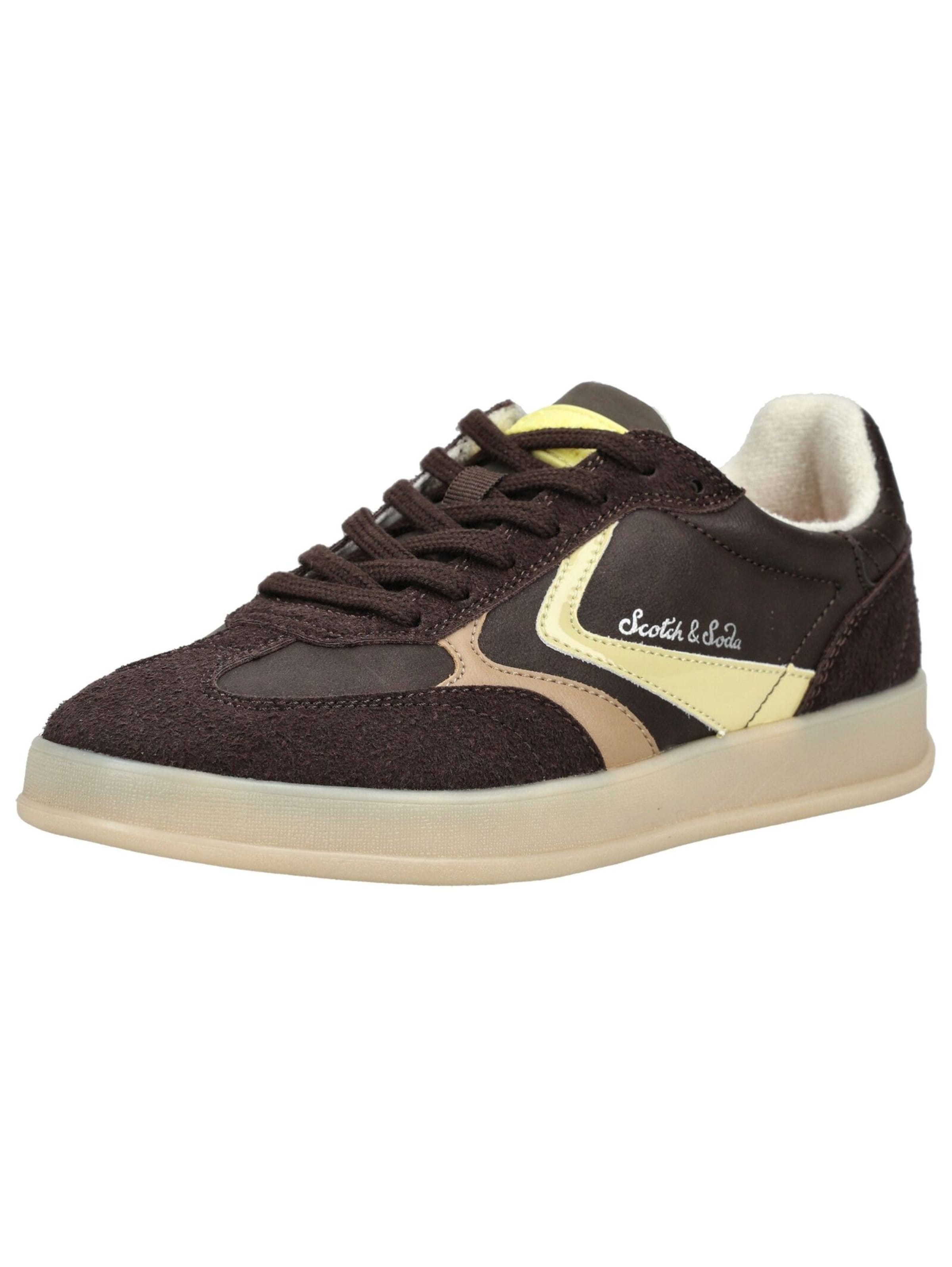 Baskets basses SCOTCH & SODA en marron : devant