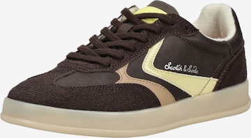 Baskets basses SCOTCH & SODA en marron : devant